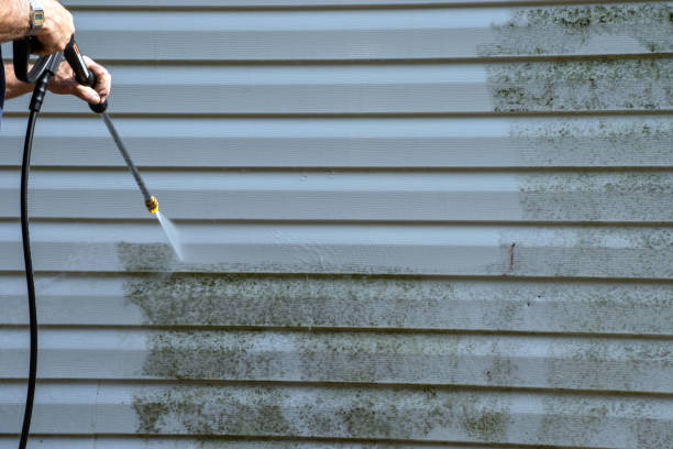 Historical Building Siding Restoration in Lake Waynoka, OH